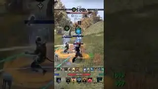 Warden Healer