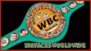 DOES VASYL LOMACHENKO DESERVE TO BE THE WBC&rsquo;S FRANCHISE CHAMPION?