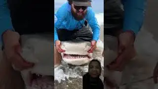 Close Call Hook Removal ￼ #shark #fishing #fish #ocean #sea #shorts #subscribe #entertainment