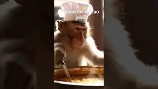 Monkey Cooking Food 😂😂😂😂 #funny #trend #cute #baby #india #cricket #ytshorts #love #ipl #viral