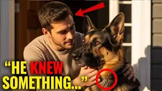 Rescue Dog Wouldn&rsquo;t Stop Staring at the Basement &mdash; What Cops Found There Was Horrifying