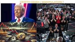 BITCOIN PRICE CRASH/ MANIPULATION ? BIG PLAYER INVOLVEMENT?