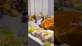 Poor stray cat rescue😢The vets made every effort😞The cats’ funeral😿#sad #cat #love #life #kindness