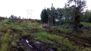 UP SxS Fun