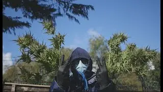 Trust-Ed - Silly With It (OFFICIAL MUSIC VIDEO)