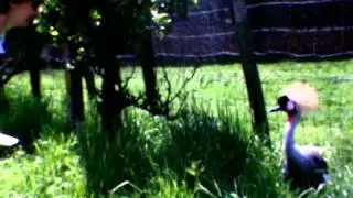 VISIT TO ELSHAM COUNTRY PARK, 1979