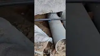 anti termite treatment pipe line #termites #terminator