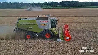 GENZ LANDTECHNIK GmbH I WEIZEN DRESCHEN I CLAAS LEXION 670 & 6600 I ÜBERLADEWAGEN BERGMANN GTW 25