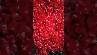 Art flower design #artsetup #art #protection