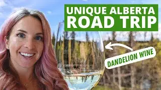Alberta, Canada Road Trip: Wine Spa & Dandelion Wine (a hidden gems Alberta Canada tour)