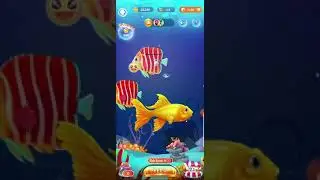 clipclaps fish ||Selling fish earn thousands coin ||