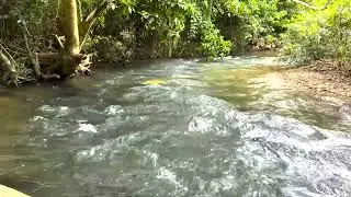 Babbling Stream in the Forest - Gentle Water Sounds for Stress Relief and Sleep