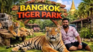 Bangkok Tiger Park 😱 | Live Tiger Experience | Thailand Trip Telugu Vlog