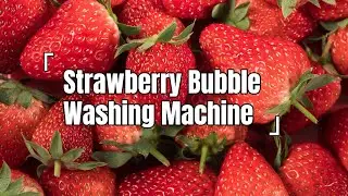 How the Strawberry Bubble Washer Achieves Perfect Balance Between Cleanliness and Integrity?