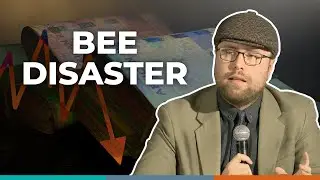 The real cost of B-BBEE | Martin van Staden