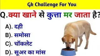 Gk Questions|| Gk in Hindi|| Gk Questions and Answers|| Gk Quiz 
