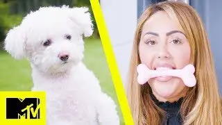 Celebs Vs Pets: Sophie Kasaei vs. Dolly