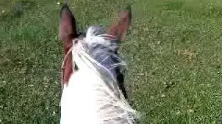 VID 00009-20091016-1528.3GP