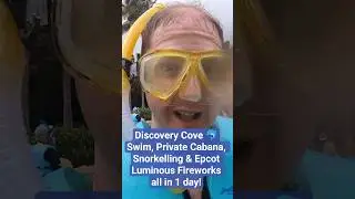 Частная беседка, плавание с дельфинами, а затем фейерверк в EPCOT за 1 день 🥵 #DiscoveryCove #Dis...