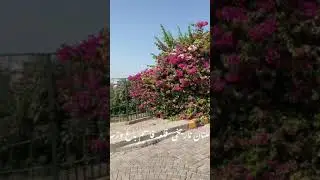 Historical Fort of Multan Visit