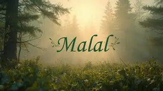 Malal (Lofi) | Sad Heartbreak Song | Late Night Feelings | Roxstar