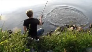 Mainkarpfen (sommer teil2 2013)