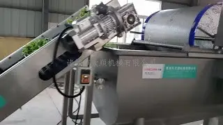 Salad lettuce vegetable washing line,contains sorting conveyor,cutter,washer,dewatering machine