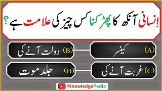 Islamic Paheliyan He paheliyan | Urdu | Riddles in Hindi | Knowledge Pedia | islamic Questions 708