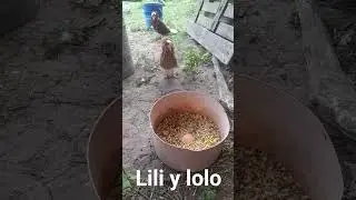 amor del bueno!