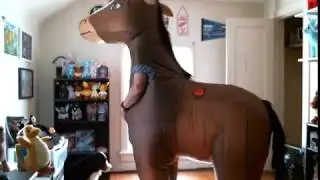 Inflatable Horse Costume