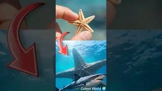 Маленькие милые животные превращаются в огромных животных #мило #животные #дикая природа