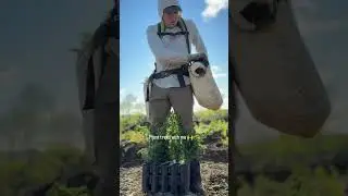 Plant trees with me🌱