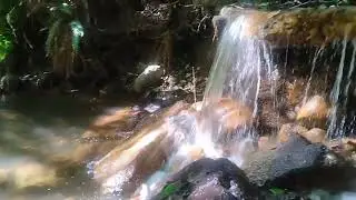 Vancouver: the springs of Killarney converge