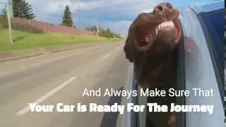 Gilbert Auto Repair Center - Promo Video