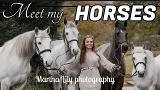 MEET MY HORSES + Q & A WITH NOHORSEHAN