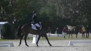 Alexa Perkiel & Ron Reagan ON Dressage