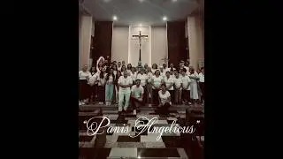 Panis Angelicus (Pão dos Anjos)