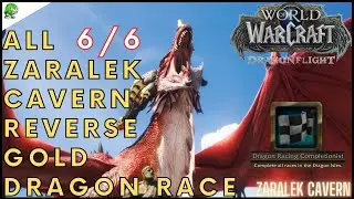 Dragonflight Zaralek Cavern All Reverse Gold Dragon Race