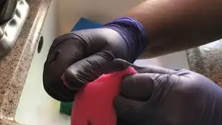 ASMR: dry sponge destruction