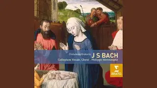 Weihnachtsoratorium, BWV 248, Pt. 3: No. 32, Rezitativ. 