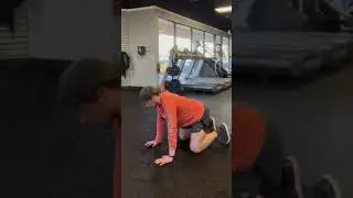 Bear Stance Plank Tutorial