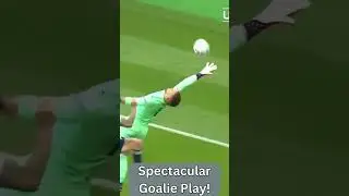 Great Soccer Goalie Saves
