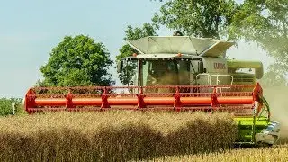Żniwa 2017! 2x CLAAS, Lexion 780! AgroGarrison