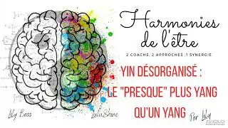 YIN D&Eacute;SORGANIS&Eacute;  : LE 