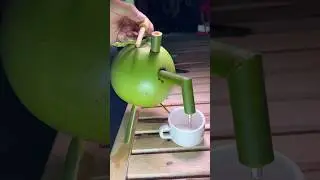 Bamboo art with Cute Coconut art #foryou