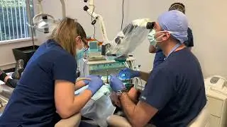Root canal therapy of tooth #2. Six handed endodontics!