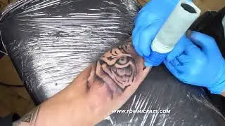 Custom tiger tattoo compositions