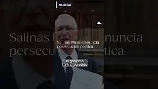 #salinaspliego #ricardosalinaspliego #sat #deuda #cidh