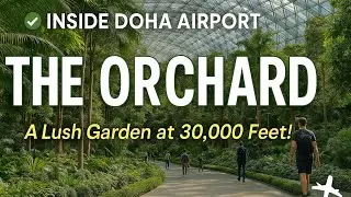 The Orchard &ndash; Garden at Doha Airport | Hamad International Airport 🌿