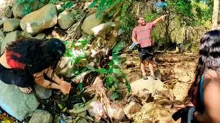 Bebiendo Agua del Tronco de Un Árbol 🤩 Oluga sigue enojado con Bety!